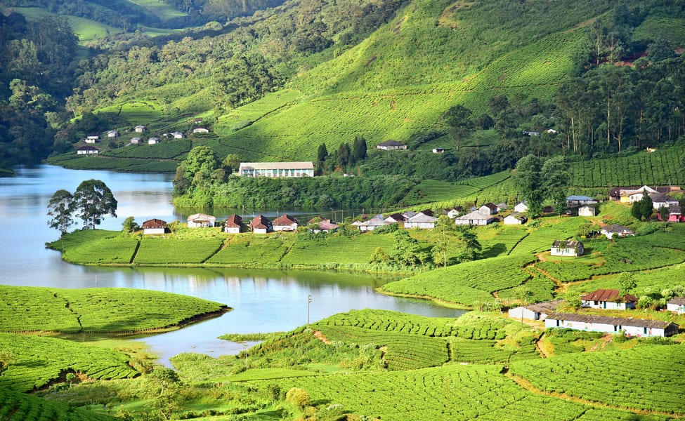 Munnar Tourism - 1
