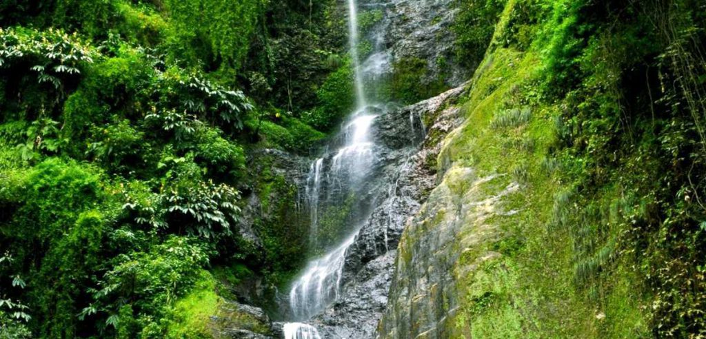 Top 10 Tourist Attractions in Shimla Chadwick Falls