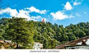 Top 10 Tourist Attractions in Shimla Jakhoo Hill 1